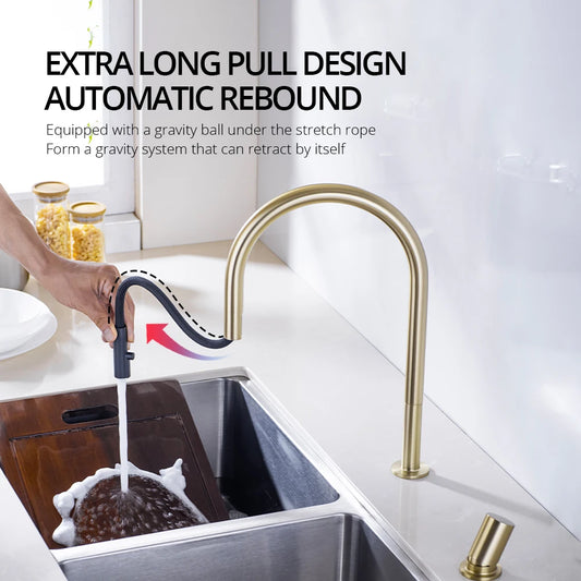 Gold Kitchen Faucet Pull-Out