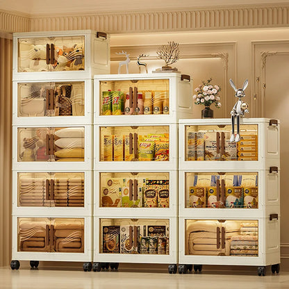 Foldable Storage Box with Clear Door
